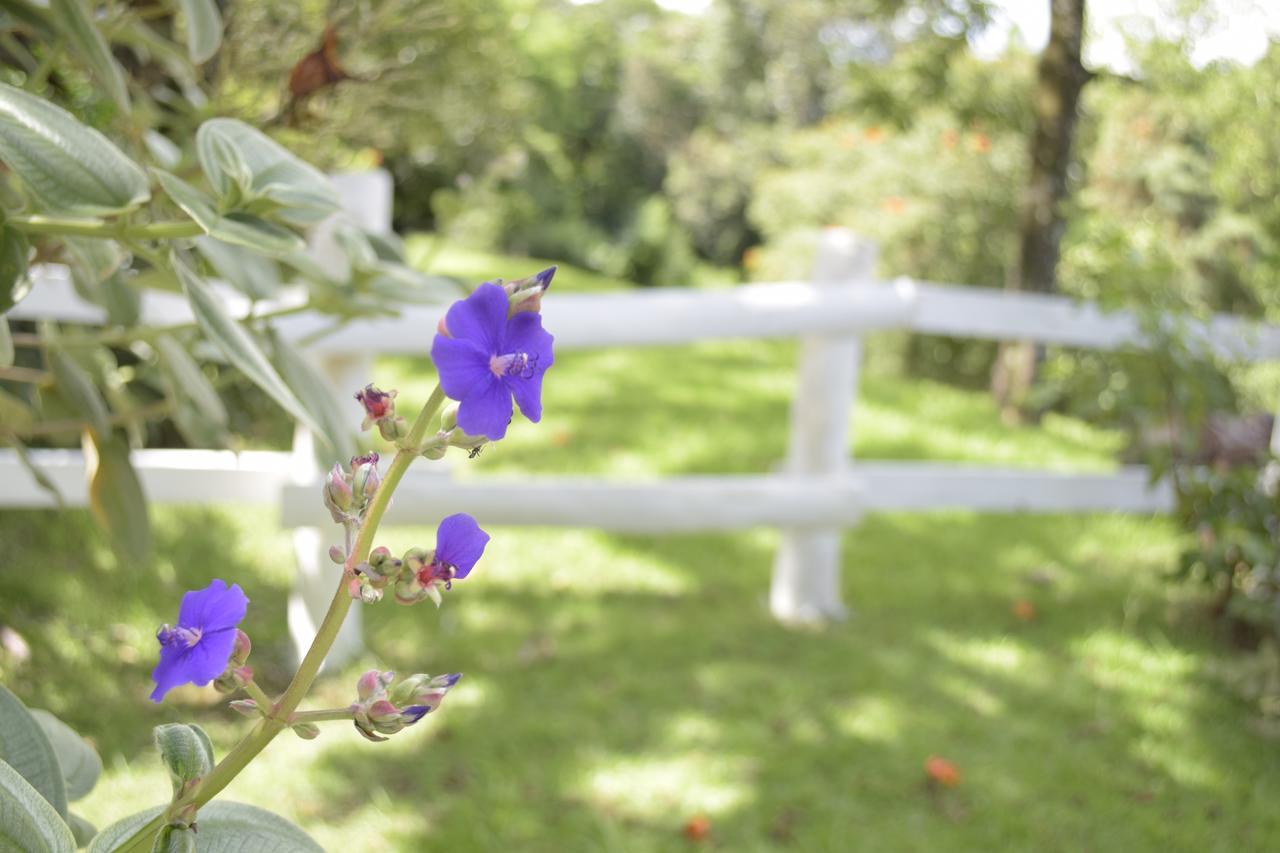 Hotel Fazenda Fonte Colina Verde サン・ペードロ エクステリア 写真